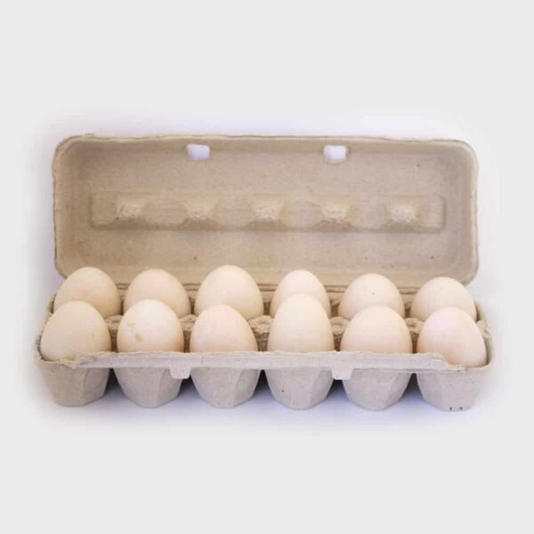 Duck Eggs - Lamblicious
